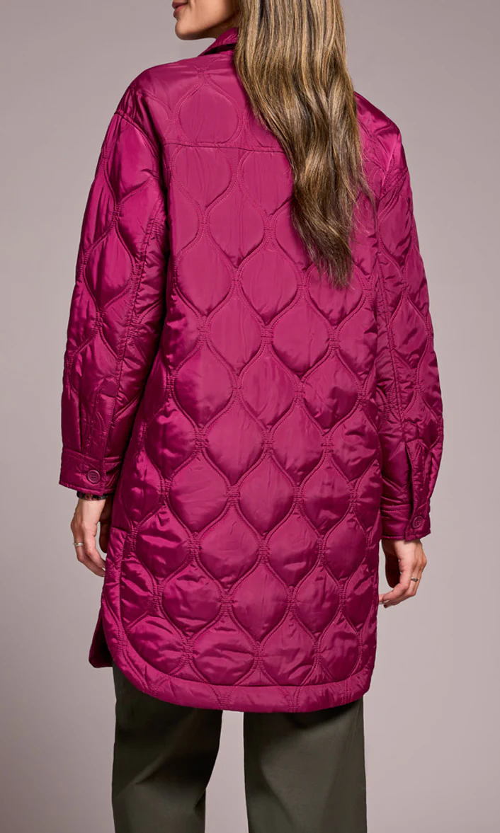 Full Length Quilted Jacket - Image 4